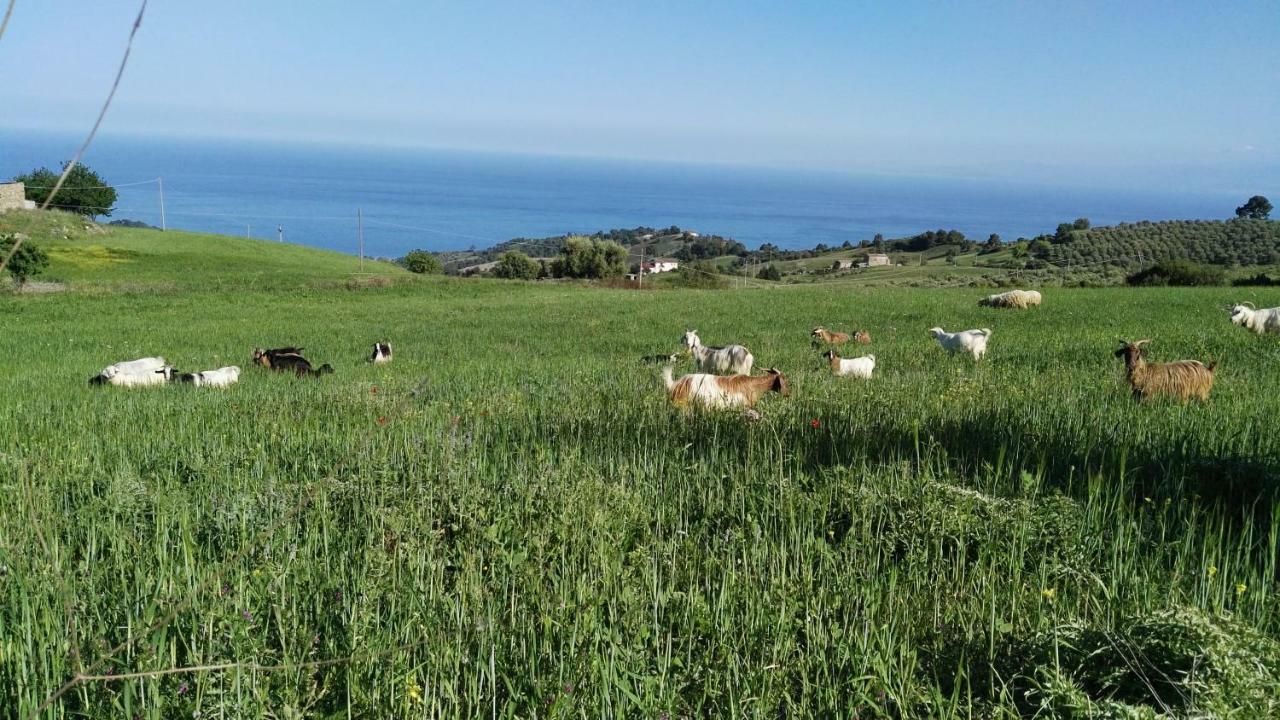 Agriturismo Masseria Tufaro Villa Albidona ภายนอก รูปภาพ